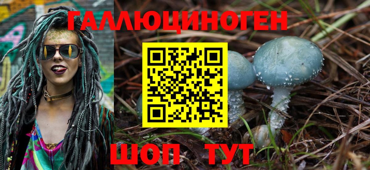 Псилоцибиновые грибы Cubensis  Вход с VPN  Обь 